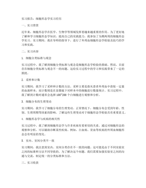 细胞形态学实习报告