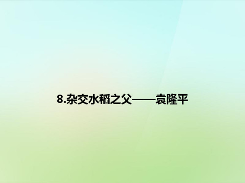 公开课教案教学设计课件语文版初中语文八上《杂交水稻之父-袁隆平》PPT课件 (六)