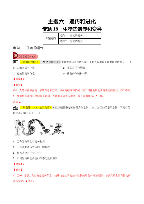 专题18 生物的遗传和变异(解析版)