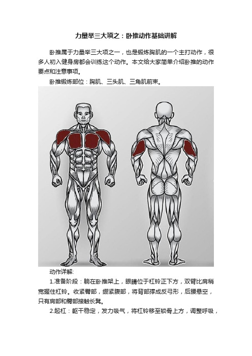 力量举三大项之：卧推动作基础讲解