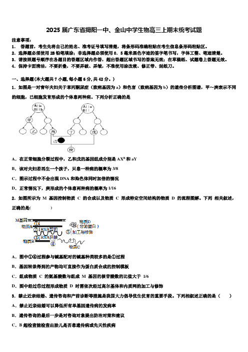 2025届广东省揭阳一中、金山中学生物高三上期末统考试题含解析