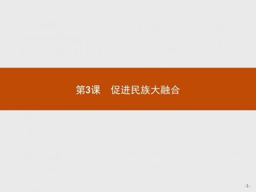 高二历史人教版选修1课件：3.3 促进民族大融合