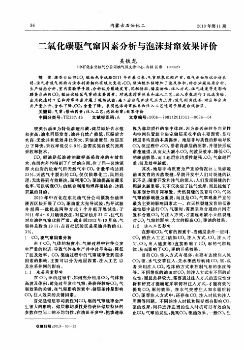 二氧化碳驱气窜因素分析与泡沫封窜效果评价