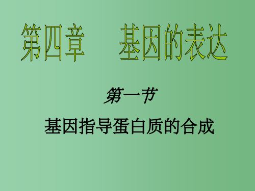 高中生物《4.1基因指导蛋白质的合成》 新人教版必修2