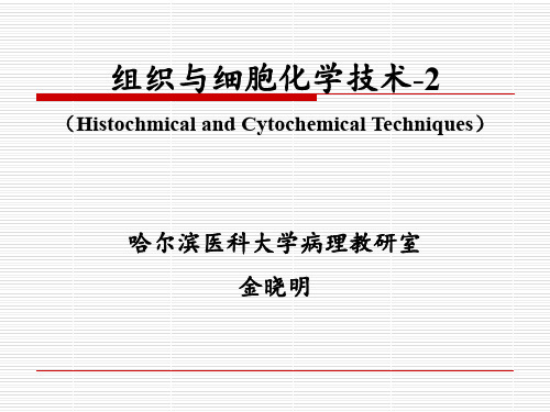 组织与细胞化学技术-2