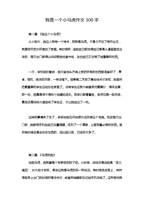 我是一个小马虎作文300字