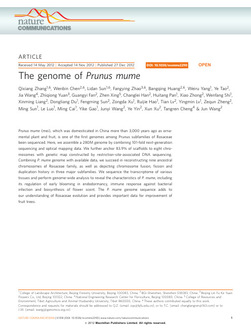 梅花基因组The genome of Prunus mume