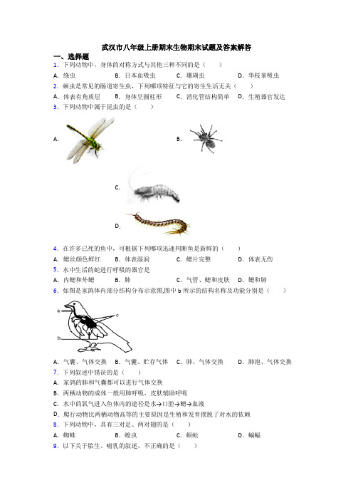 武汉市八年级上册期末生物期末试题及答案解答