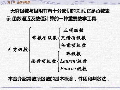 11函数项级数简介