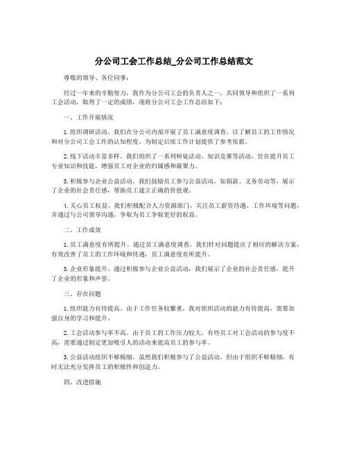 分公司工会工作总结_分公司工作总结范文