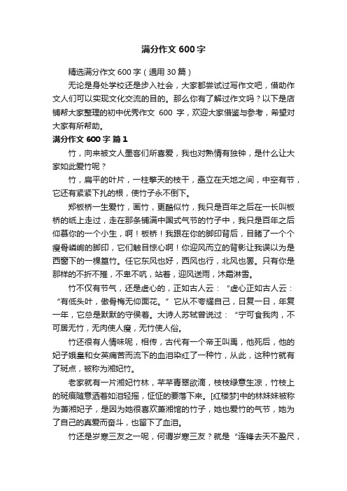 满分作文600字