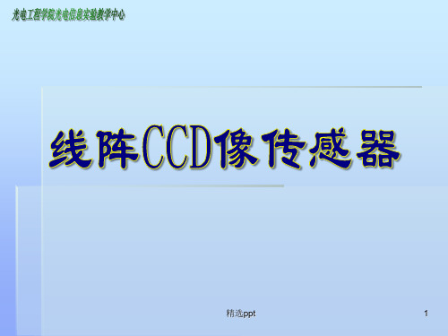 《实验ACCD部分》PPT课件