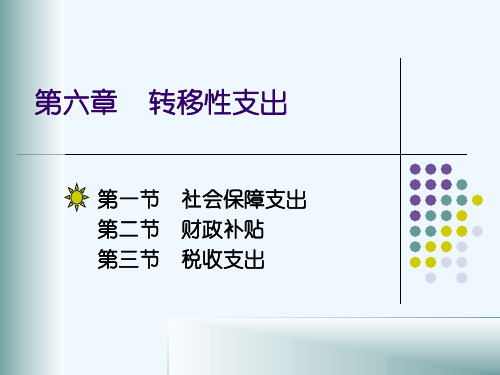 财政学第六章转移性支出