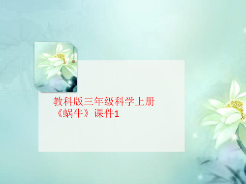 教科版三年级科学上册《蜗牛》课件1-文档资料