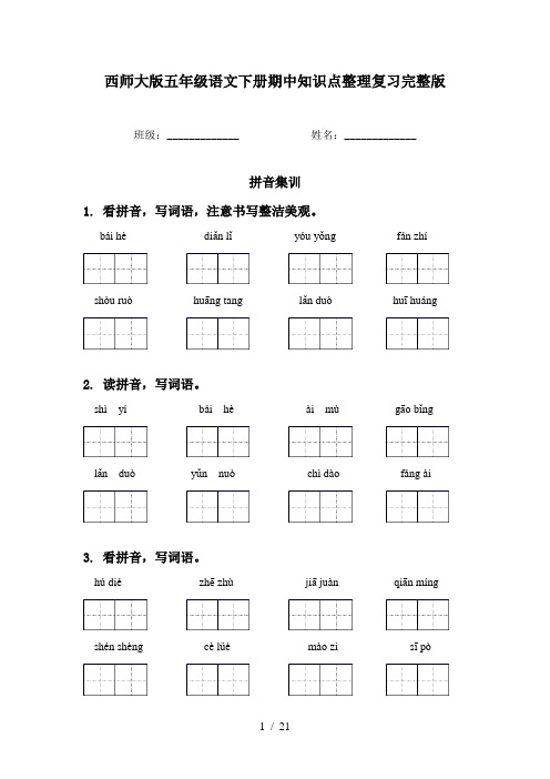 西师大版五年级语文下册期中知识点整理复习完整版