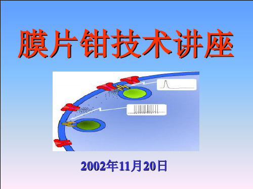 膜片钳技术讲座幻灯