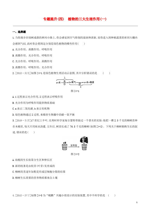 鄂尔多斯专版2020中考生物复习方案专题提升04植物的三大生理作用一试题