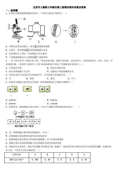 北京市人教版七年级生物上册期末期末试卷及答案