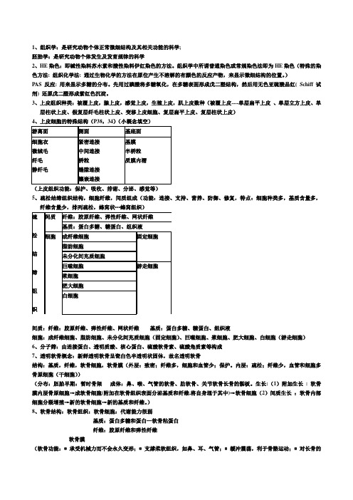 组织学与胚胎学重点