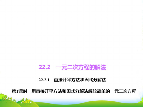 华师大九年级数学上册《用直接开平方法和因式分解法解较简单的一元二次方程》课件