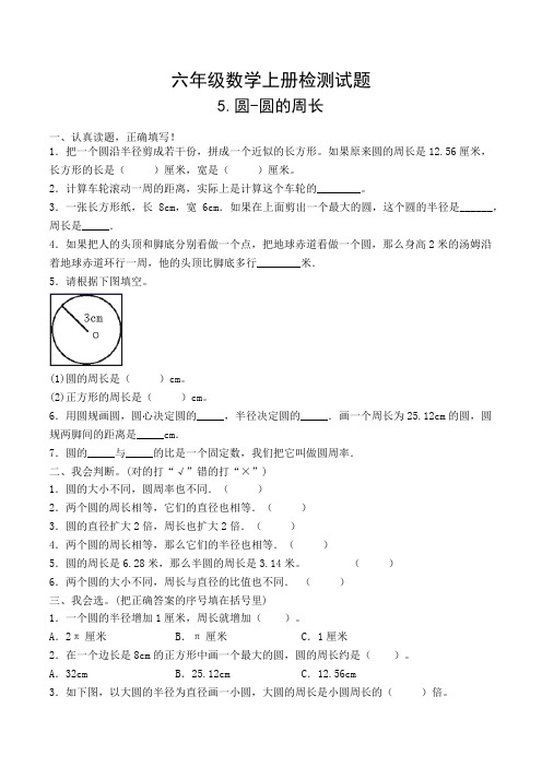 人教版六年级数学上册 圆圆的周长检测试题三(含答案)