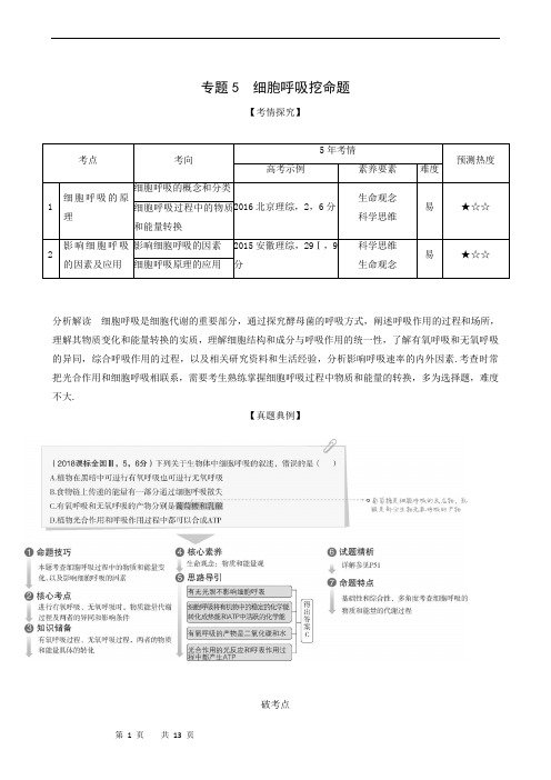 高考生物复习专题5 细胞呼吸