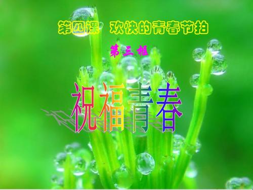 【初中政治】祝福青春ppt优秀课件4