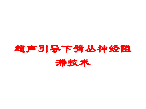 超声引导下臂丛神经阻滞技术培训课件