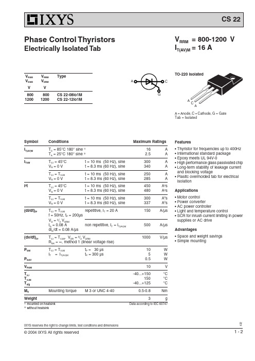 CS22-12IO1M中文资料