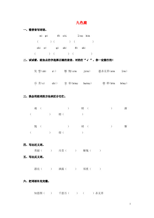 二年级语文上册 第19课 九色鹿练习题 语文S版