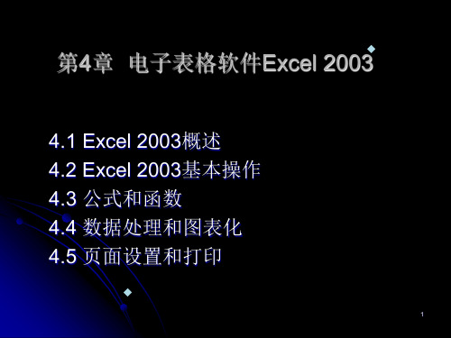 电子表格软件Excel2003使用教程