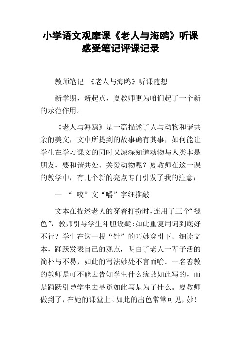 小学语文观摩课老人与海鸥听课感受笔记评课记录