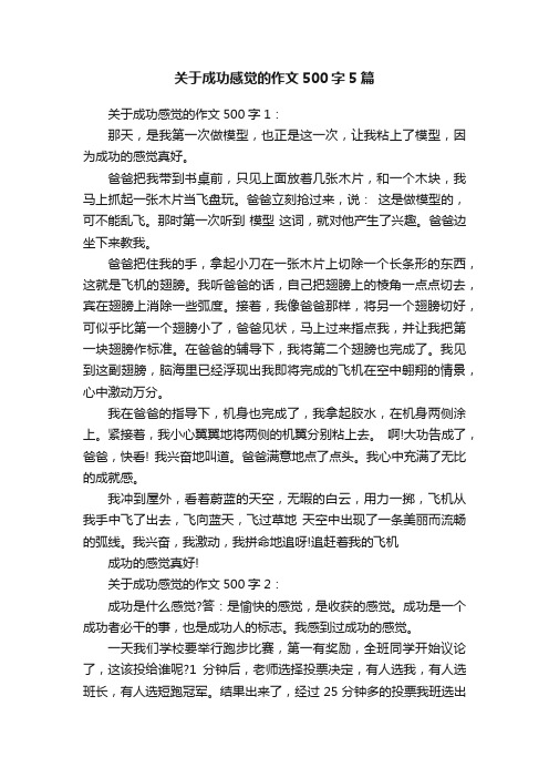 关于成功感觉的作文500字5篇