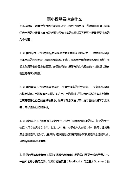 买小提琴要注意什么