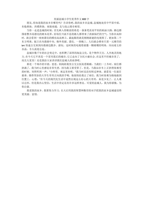 美丽盐城小学生优秀作文600字