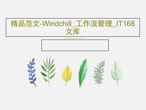 精品范文-Windchill_工作流管理_IT168文库共62页PPT