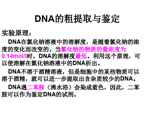 高二生物dna的粗提取与鉴定(2019年10月)