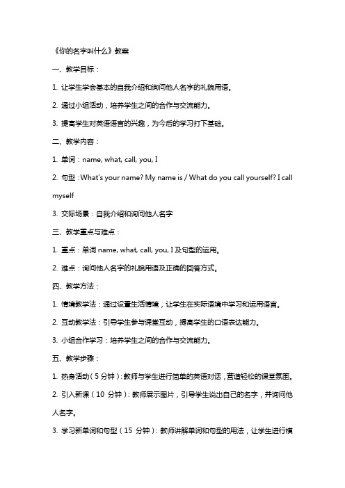 《你的名字叫什么》教案