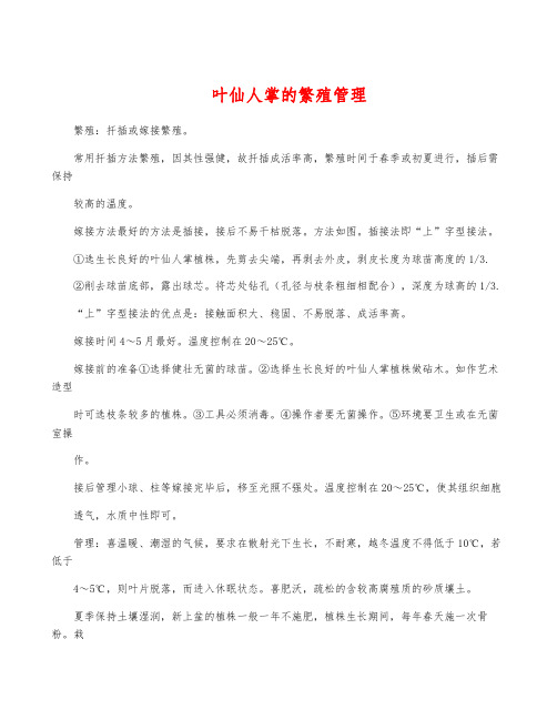 叶仙人掌的繁殖管理