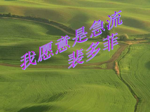 我愿意是急流(完整版)
