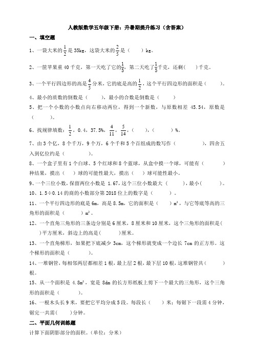 新人教版数学五年级下册：升暑期提升练习(含答案)