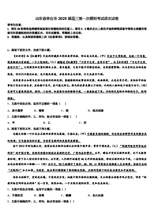 山东省枣庄市2025届高三第一次模拟考试语文试卷含解析