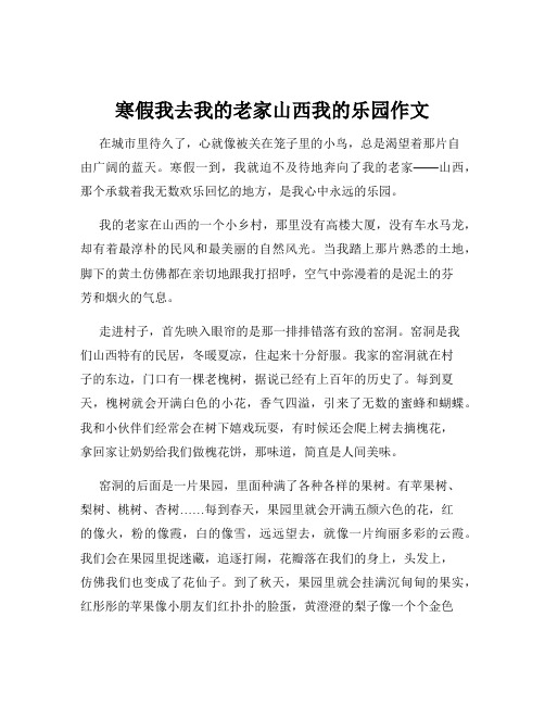 寒假我去我的老家山西我的乐园作文