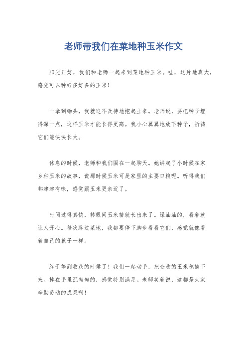 老师带我们在菜地种玉米作文