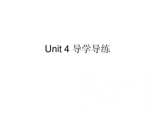 九年级Unit 4 导学导练答案