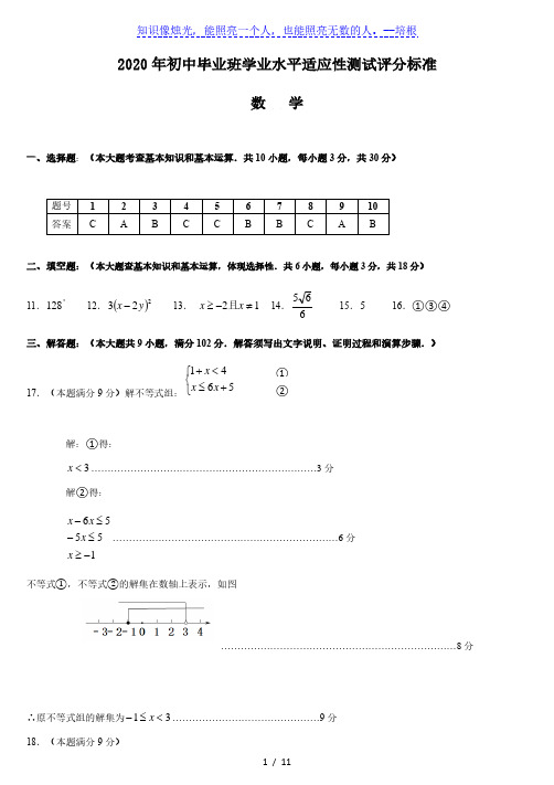 2020年初中毕业班学业水平适应性测试 数学(参考答案)