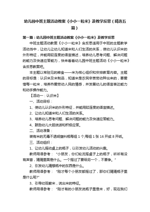 幼儿园中班主题活动教案《小小一粒米》及教学反思（精选五篇）