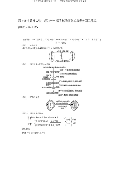 高考生物必考教材实验(五)——观察植物细胞的质壁分离及复原