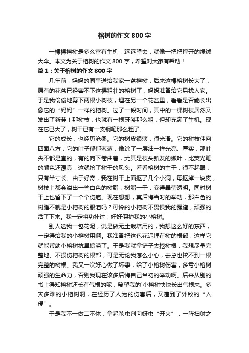 关于榕树的作文800字