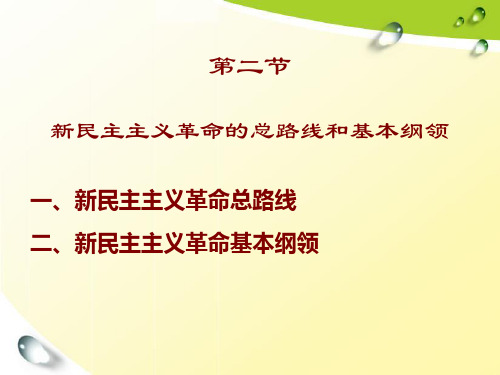 新民主主义革命的总路线和基本纲领